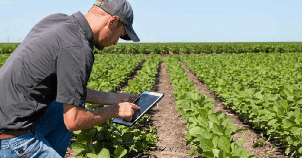 Asesoramiento Agronómico