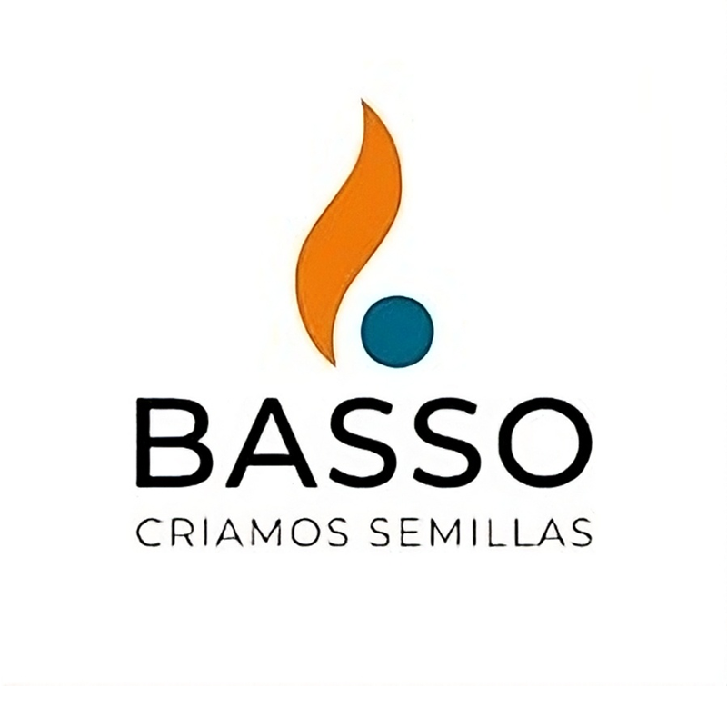 Basso