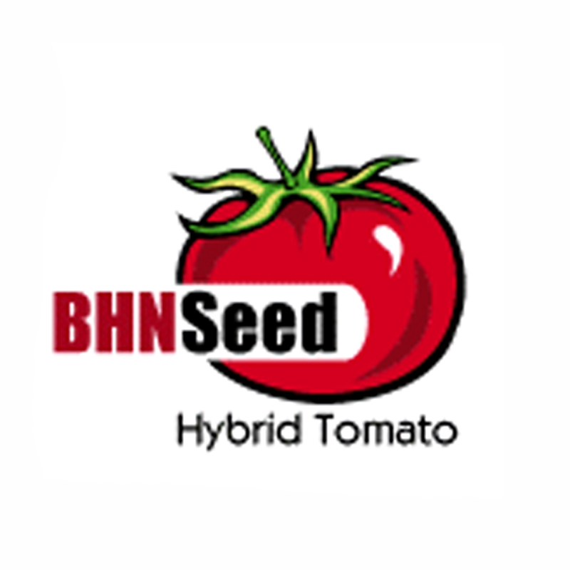 BHN