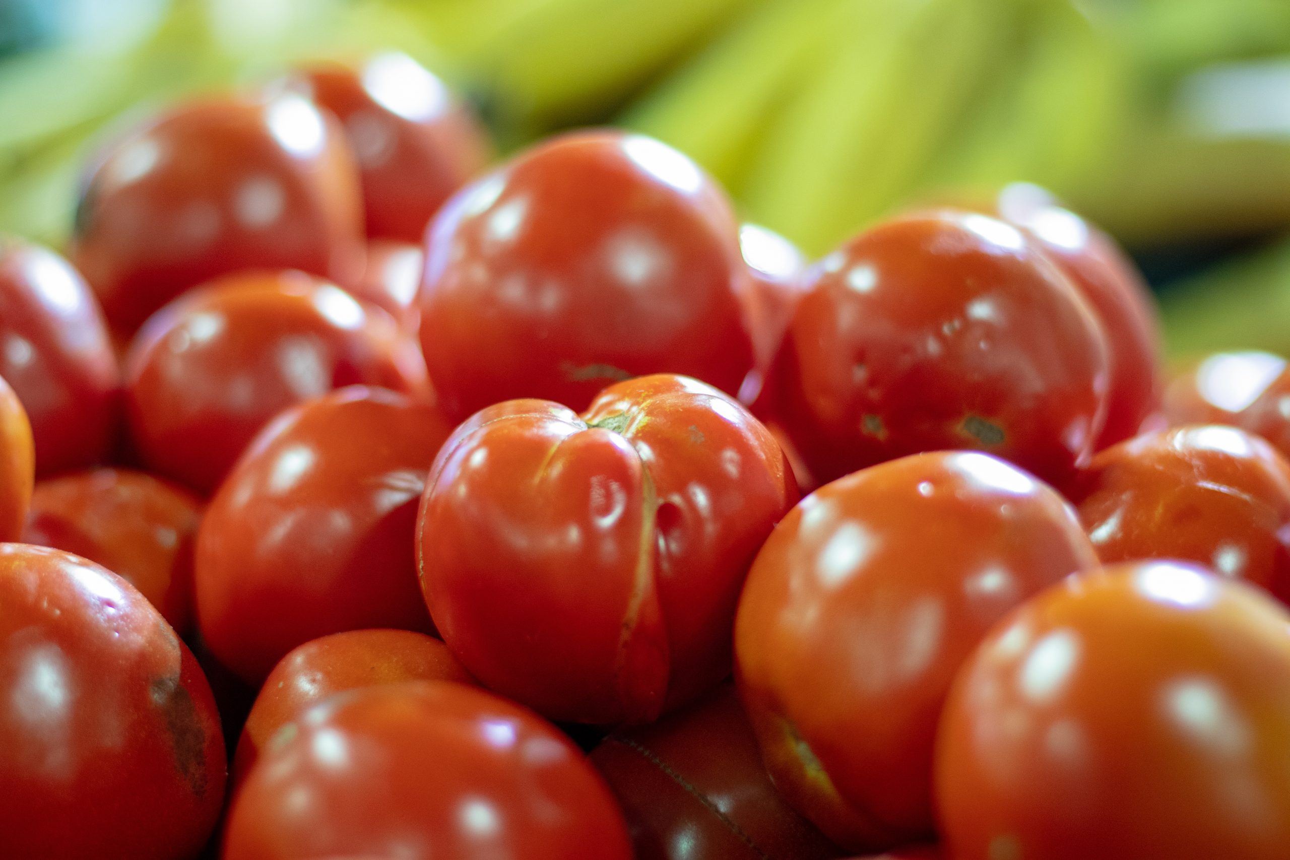 Tomates